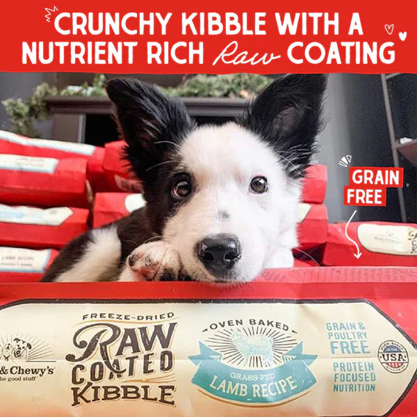 Stella & Chewy's Dog Raw Coated Kibble