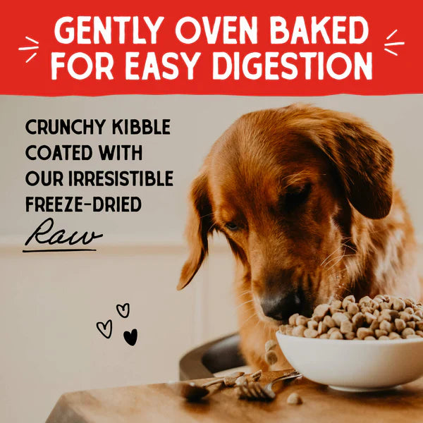 Stella & Chewy's Dog Raw Coated Kibble