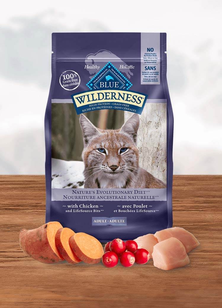 Blue Buffalo Cat Dry Food - Wilderness