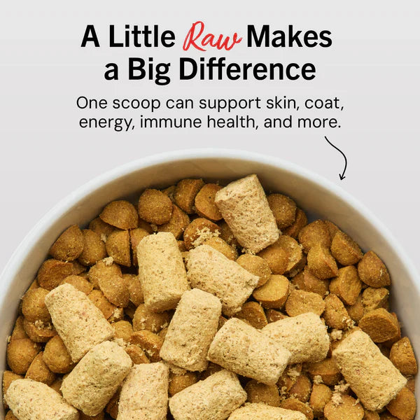 Stella & Chewy's Dog Meal Mixers