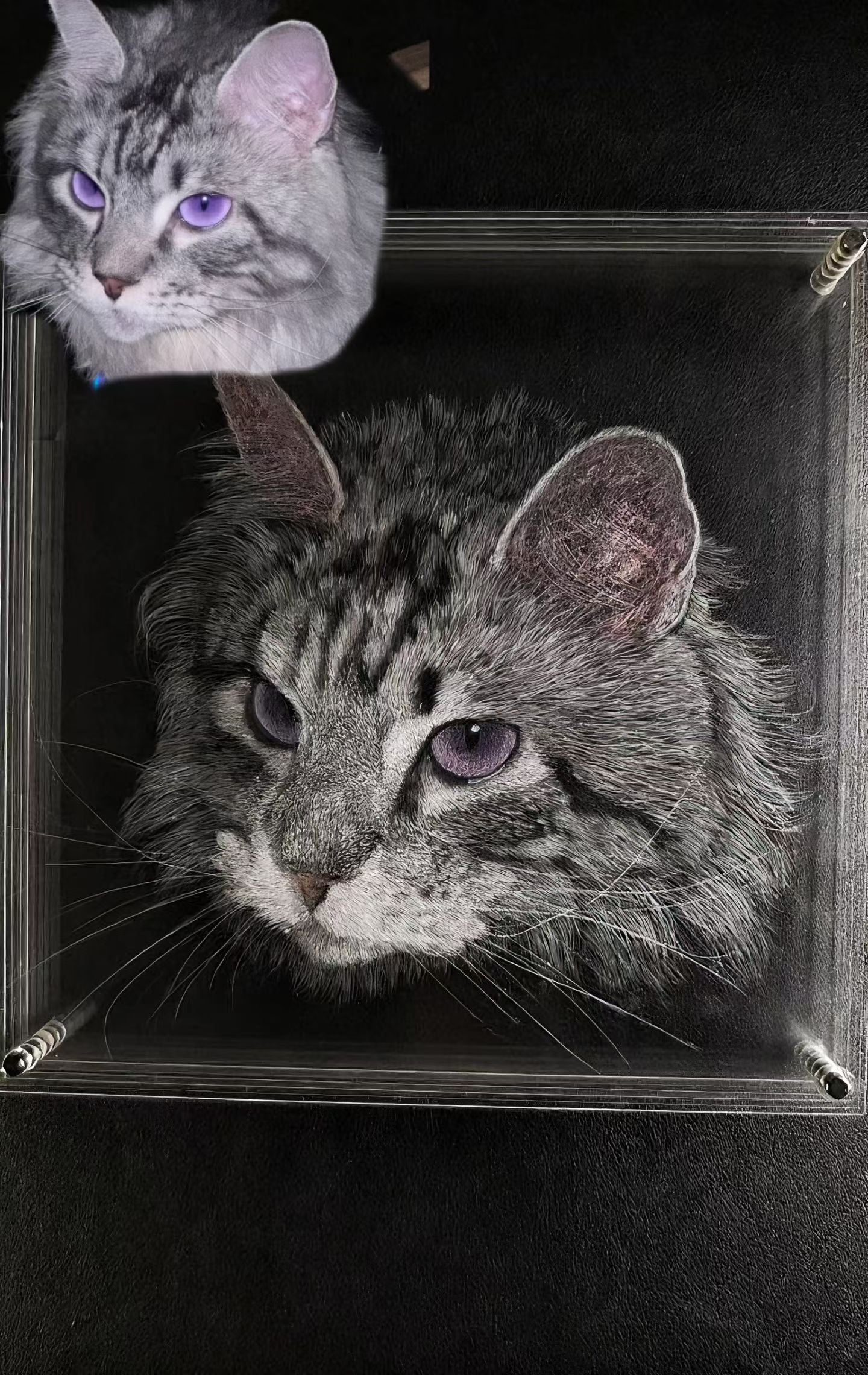 Hand-Carved Acrylic Pet Art| One of a Kind Piece