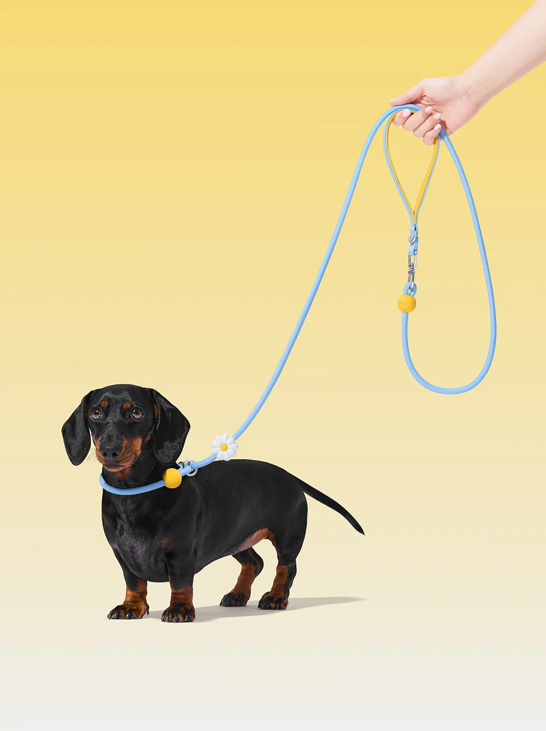 Vetreska Dog leash