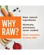 Instinct Cat Food Topper - Raw Boost Shakers - Chicken Recipe