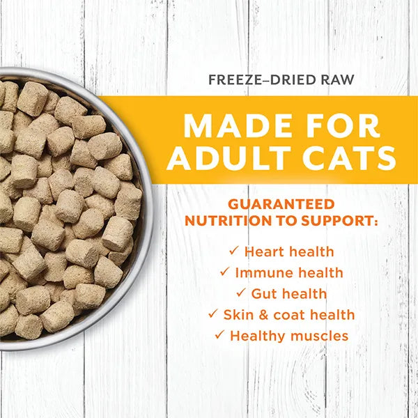 Instinct Cat Dry Food - Raw Longevity 100% Freeze-Dried Raw Meals