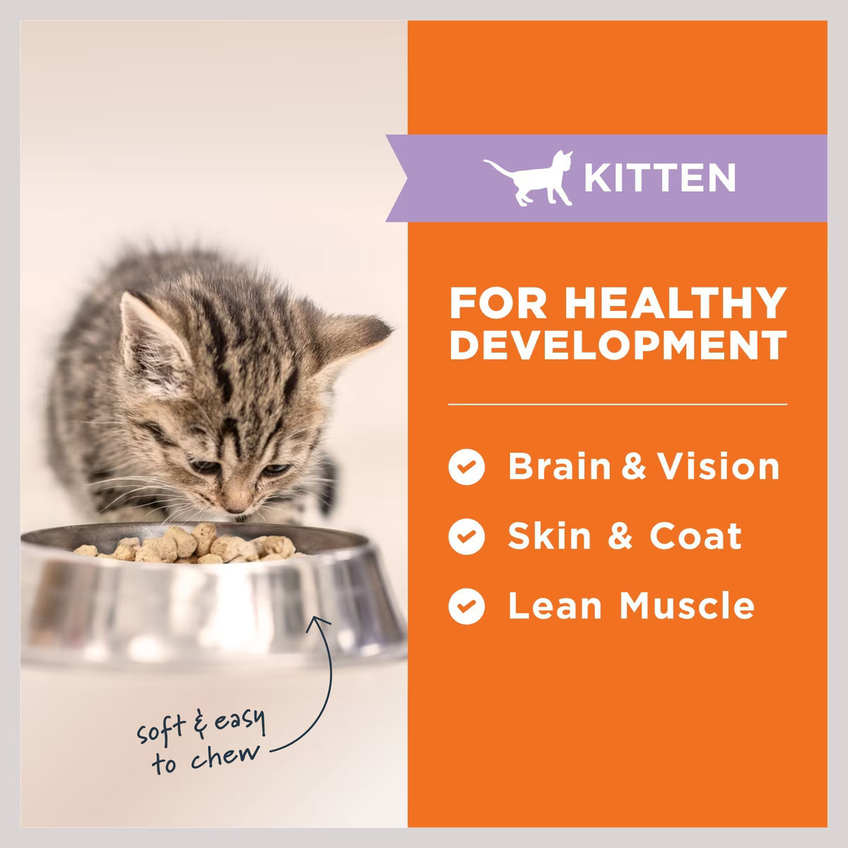 Instinct Cat Dry Food - Raw Longevity 100% Freeze-Dried Raw Meals - Kittens