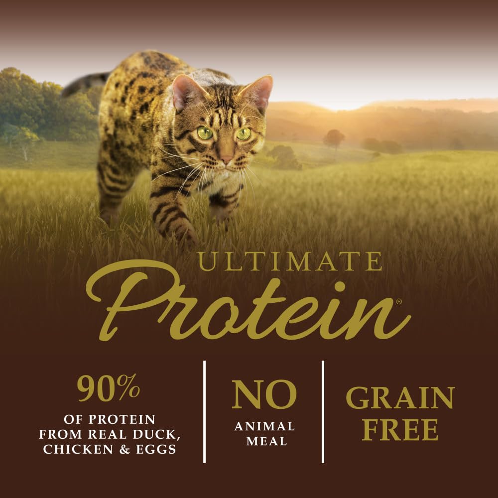 Instinct Cat Dry Food - Ultimate Protein
