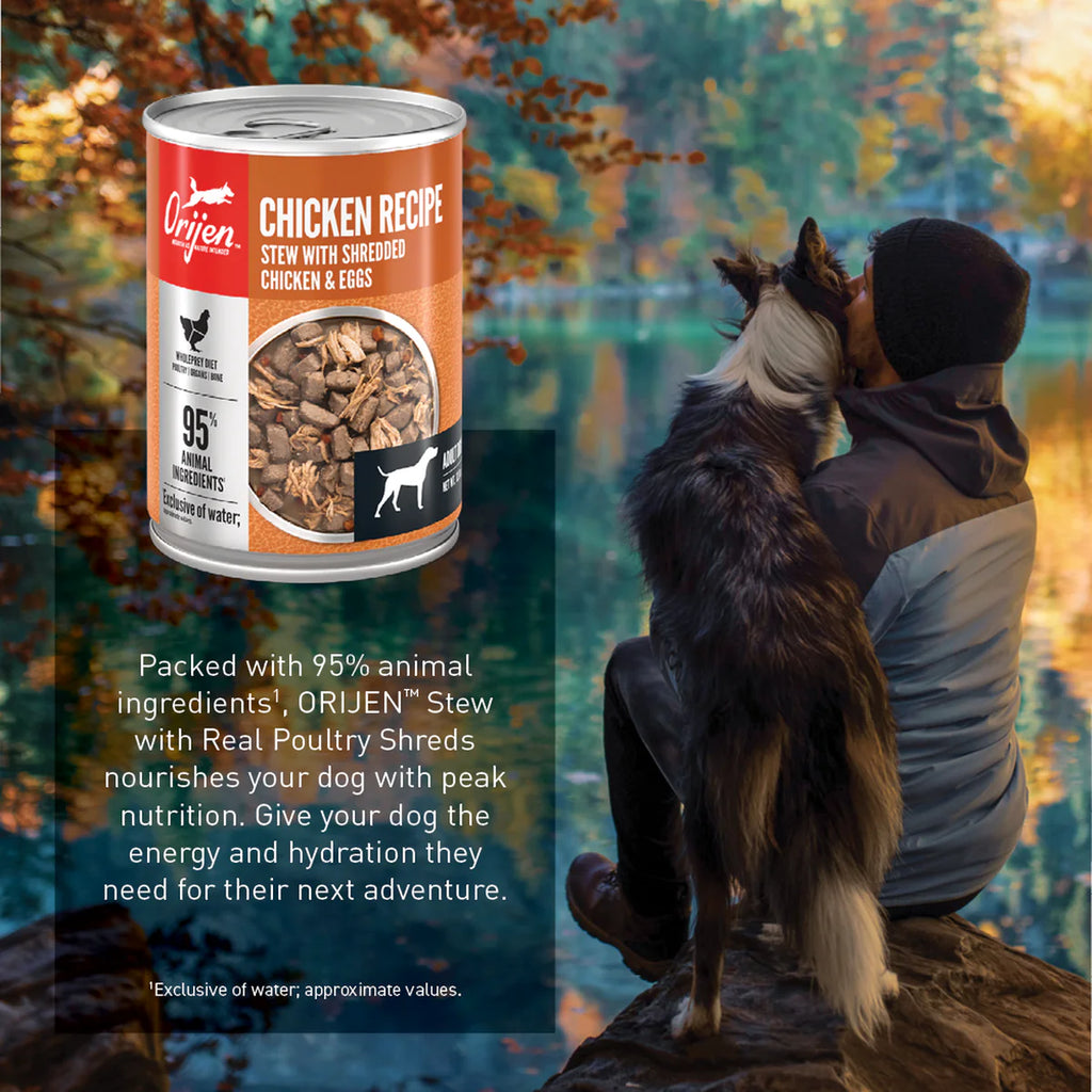 Orijen Dog Wet Food - Chicken Recipe Stew With Shredded Chicken & Eggs