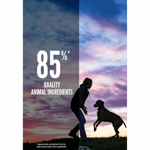 Orijen Dog Puppy Dry Food - Large Breed