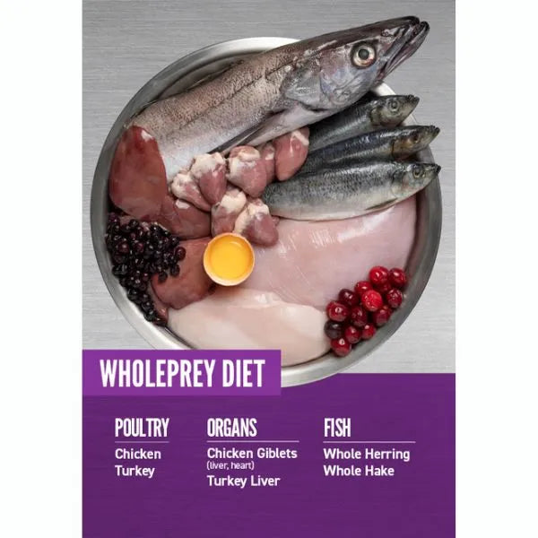 Orijen Dog Puppy Dry Food - Large Breed