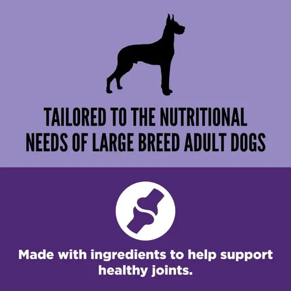 Orijen Dog Adult Dry Food - Large Breed