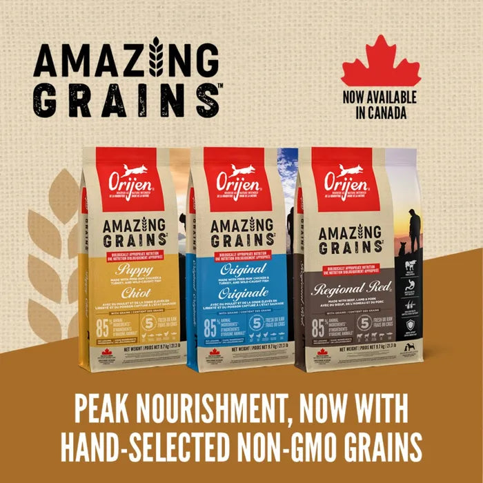 Orijen Dog Dry Food - Amazing Grains