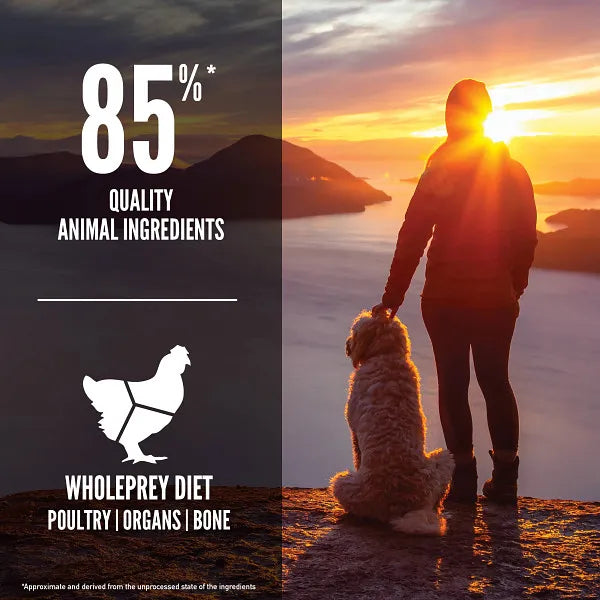 Orijen Dog Dry Food - Senior