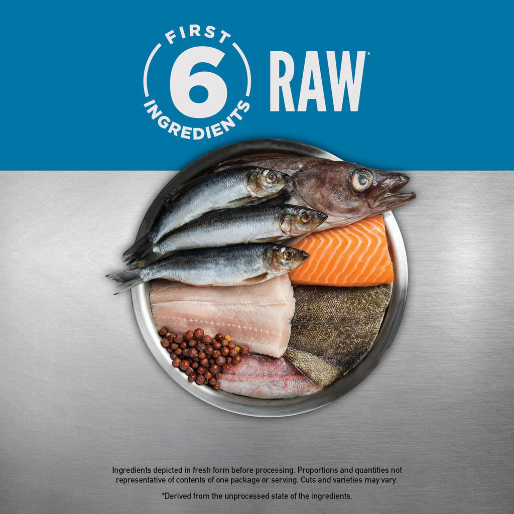 Orijen Cat Dry Food - Six Fish