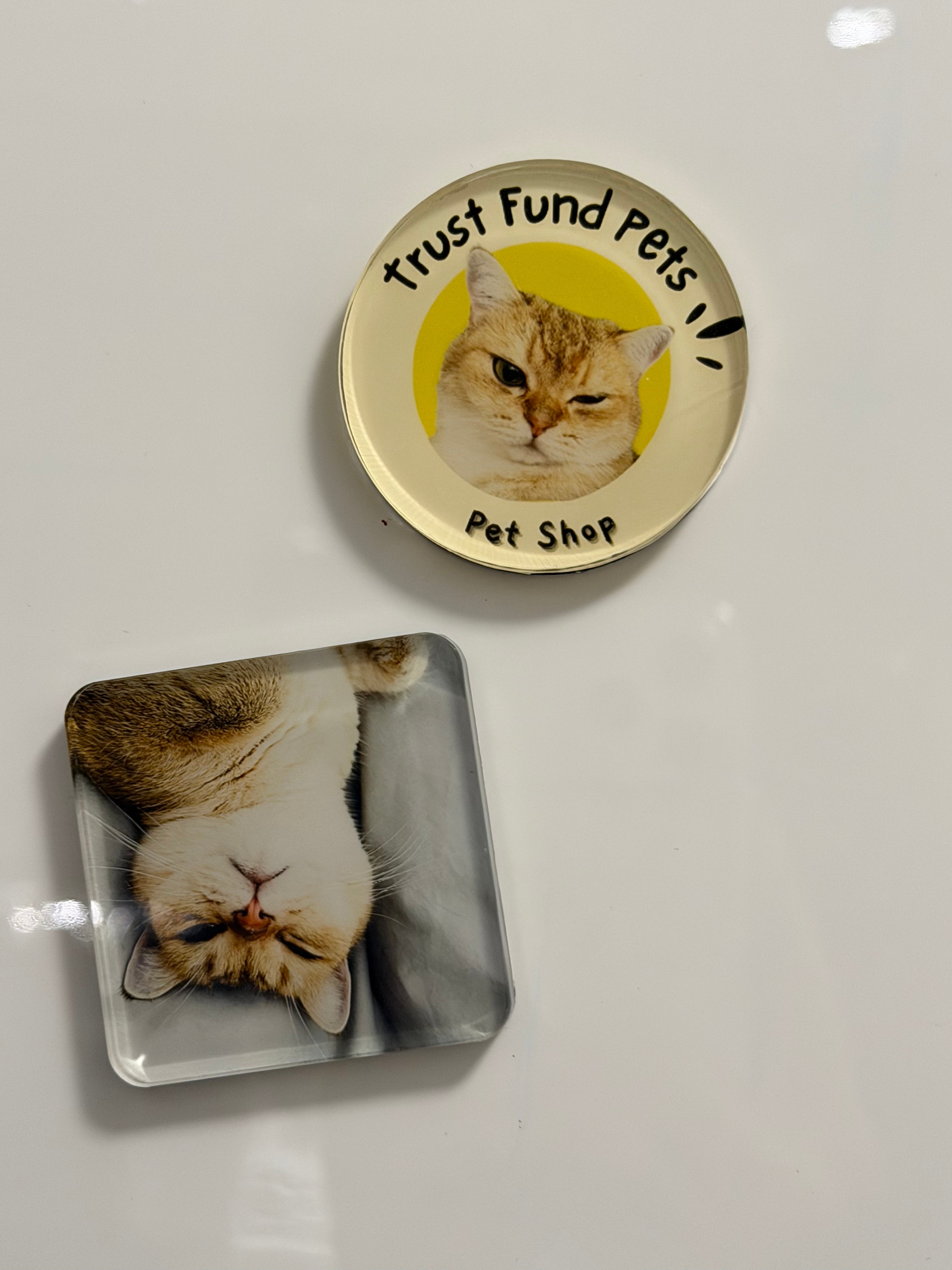 Custom Fridge Magnet