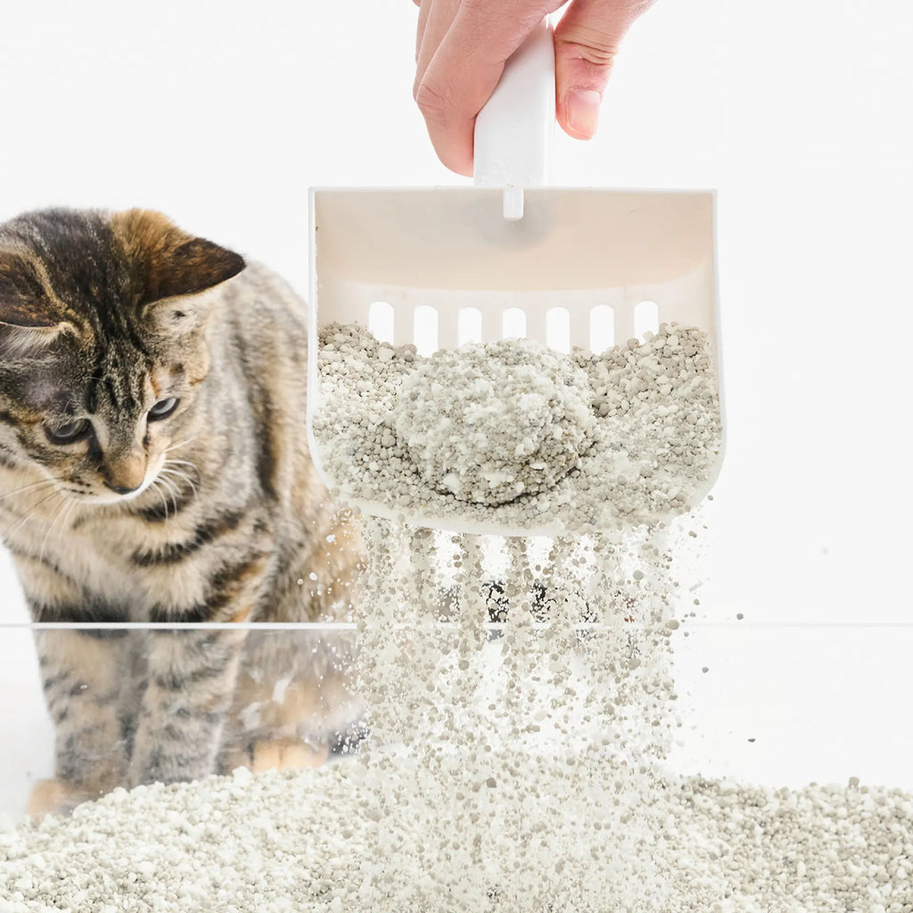 Pidan Litter - Cassava & Bentonite Clay 40%:60%