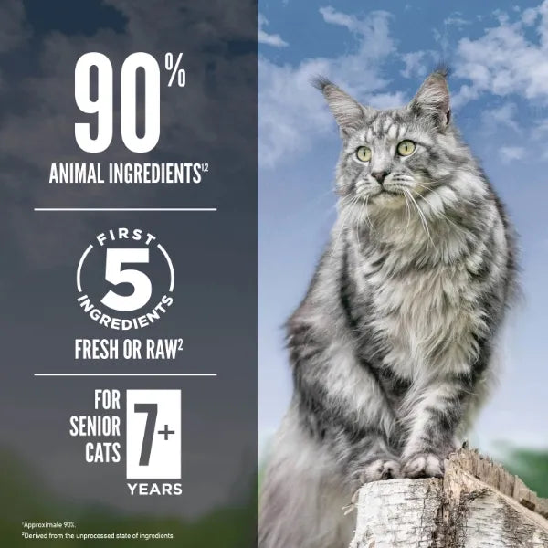 Orijen Cat Dry Food