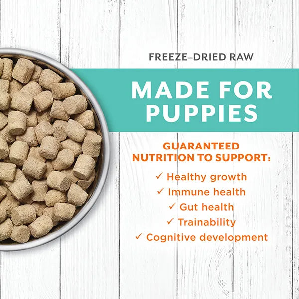 Instinct Dog Raw Longevity 100% Freeze-Dried Raw Meals