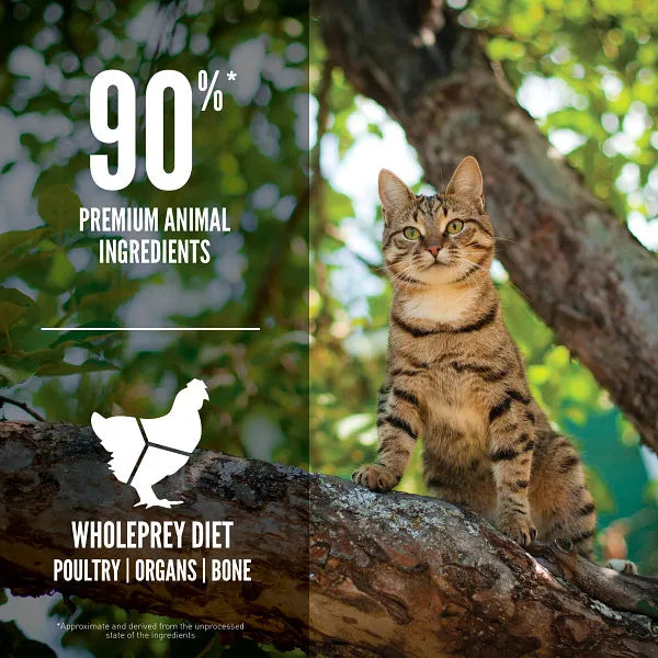Orijen Cat Dry Food
