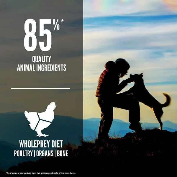 Orijen Dog Dry Food - Original