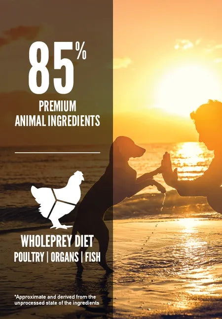 Orijen Dog Dry Food - Puppy