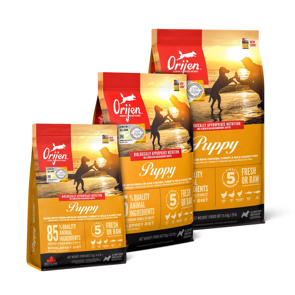 Orijen Dog Dry Food - Puppy