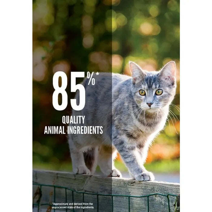 Orijen Cat Dry Food