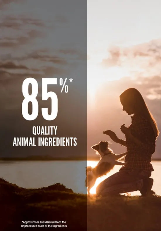 Orijen Dog Dry Food - Small Breed