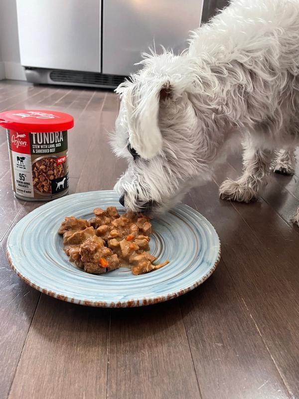 Orijen Dog Wet Food - Tundra Stew With Shredded Beef, Duck & Lamb