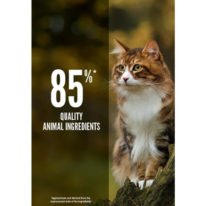 Orijen Cat Dry Food