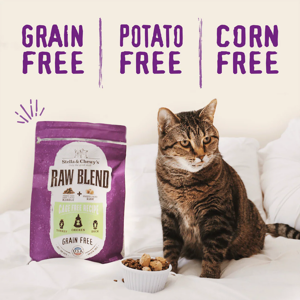 Stella & Chewy's Cat Raw Blend