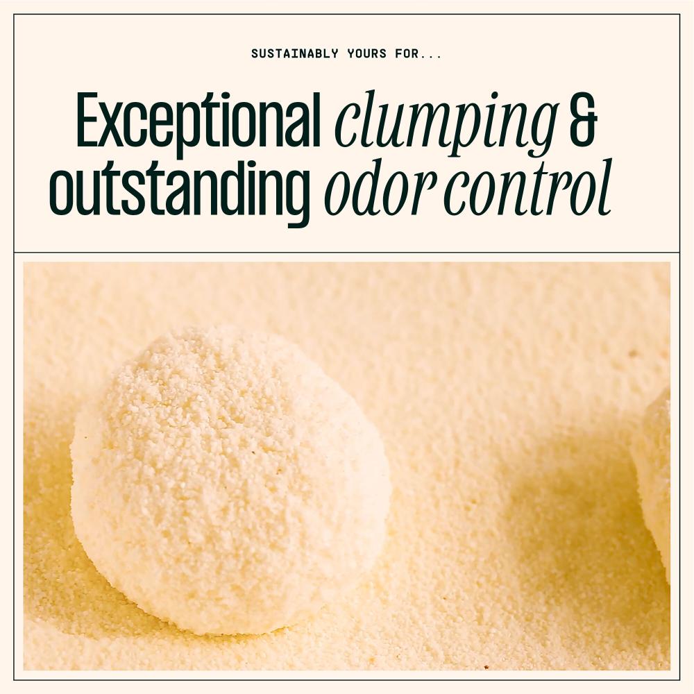 SUSTAINABLY YOURS Small Grain Formula 13lb